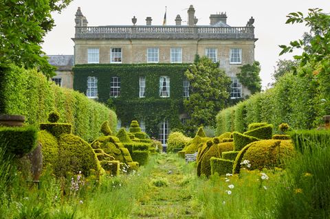 Wie eine Szene aus "Alice im Wunderland": Der Thymian-Weg auf König Charles' privatem Landsitz Highgrove