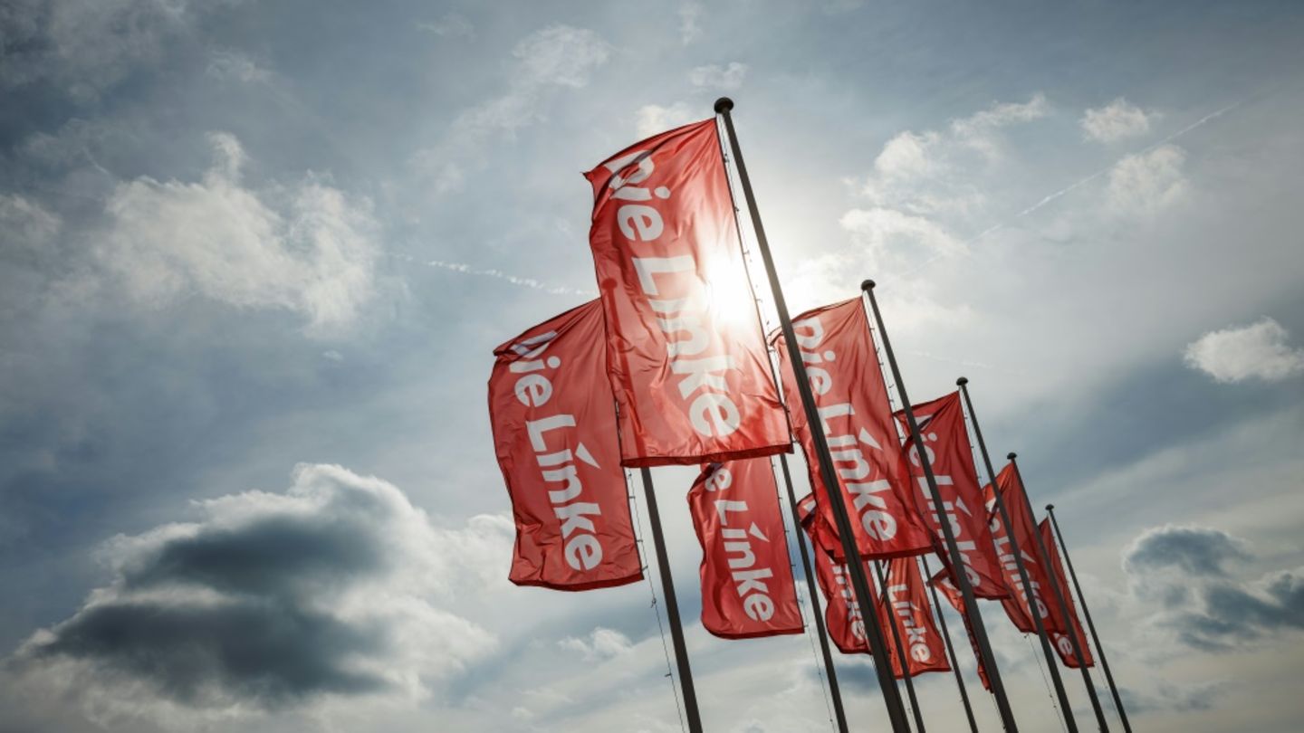 Fahnen der Linkspartei