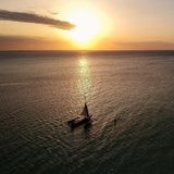 Unfal überlebt: Tim Shaddock