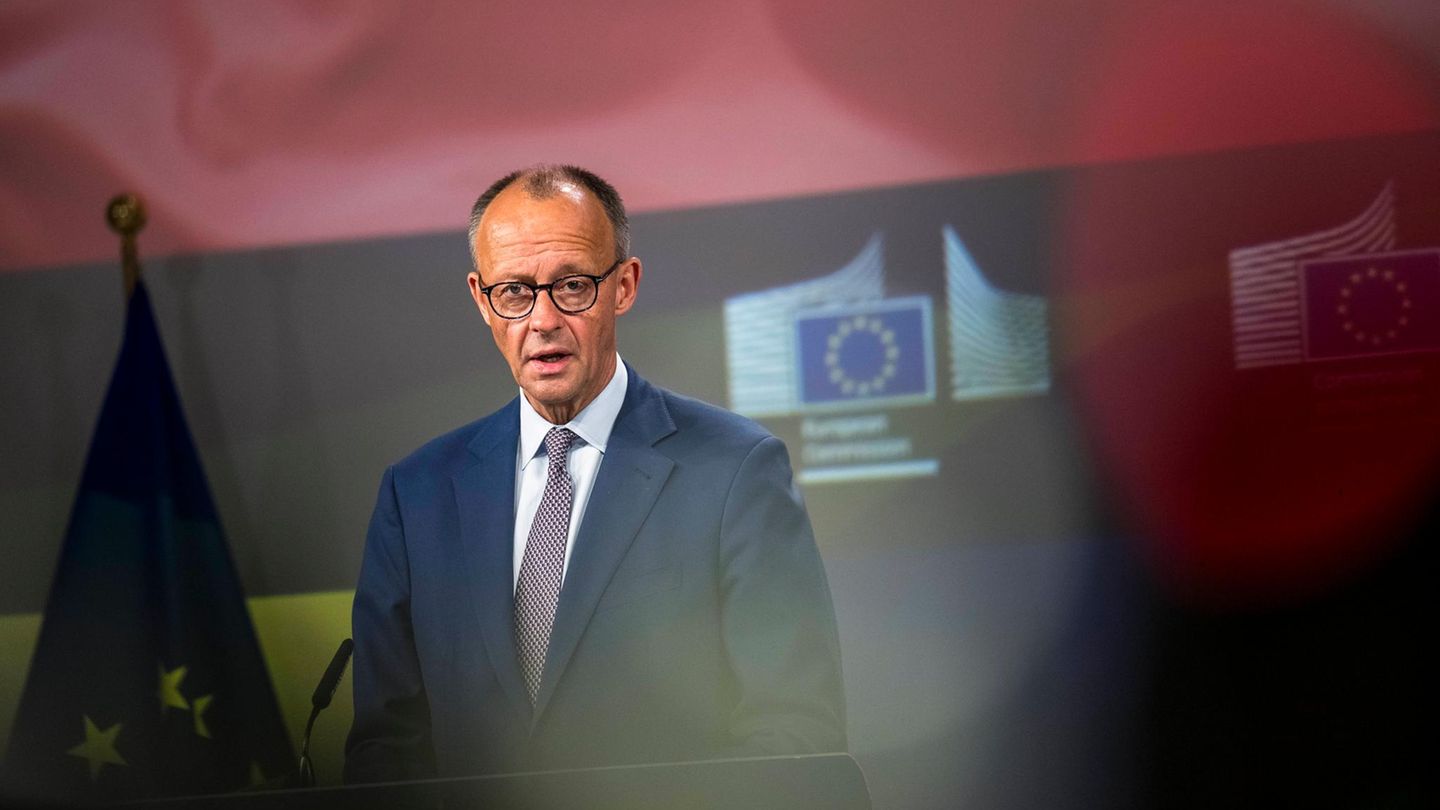 Friedrich Merz: Türkiye “extremely valuable, important NATO partner”