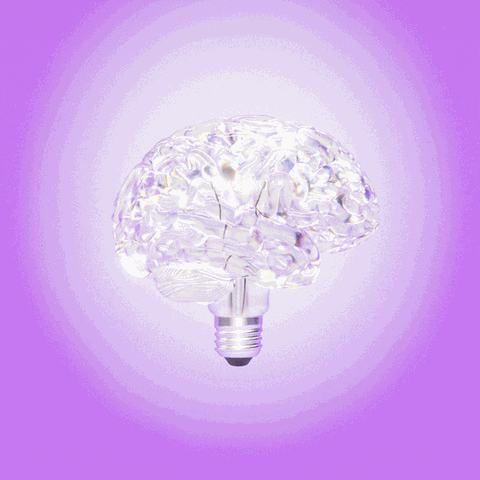 Intelligenz: Wie jeder seinen Verstand fördern kann