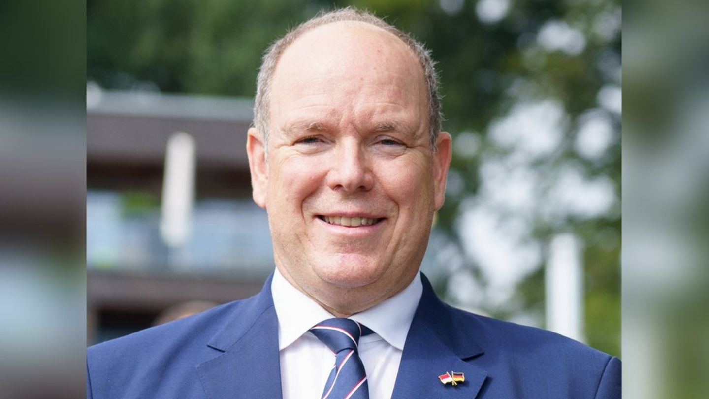 Artikel Bild