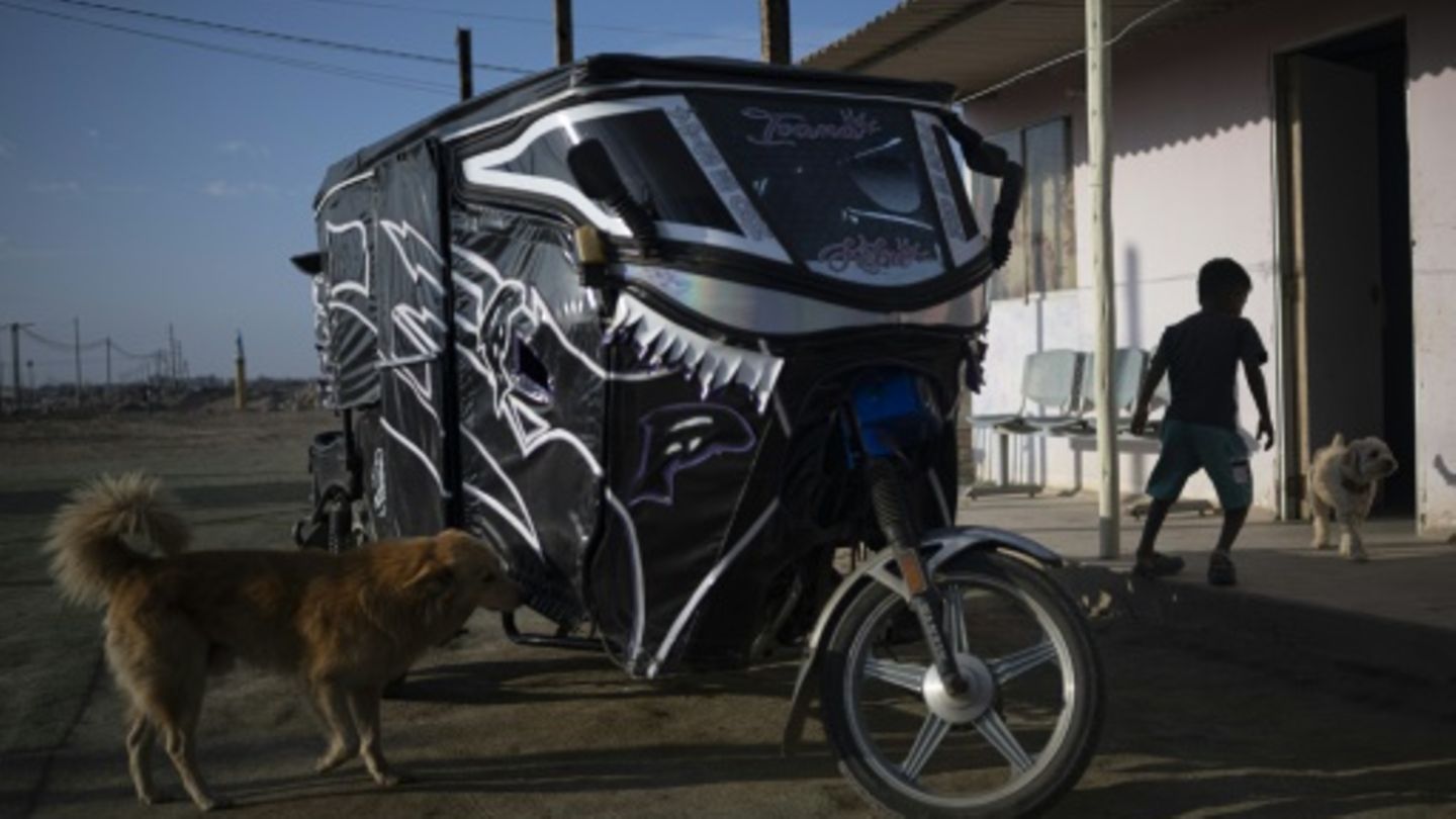 Das Haus , das Leo gebaut hat