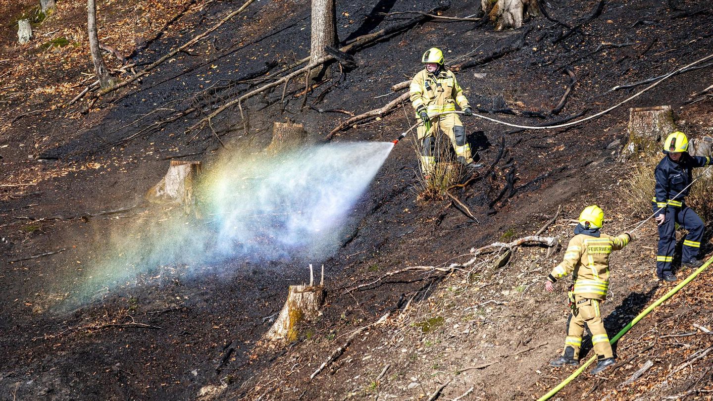 Feuerwehrleute bei Löscharbeiten im Wald (Archivbild): Die Trockenheit lässt das Waldbrandrisiko ansteigen