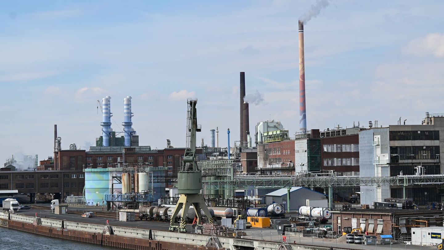 Plant protection business: Bayer gives up location Frankfurt – 500 jobs affected