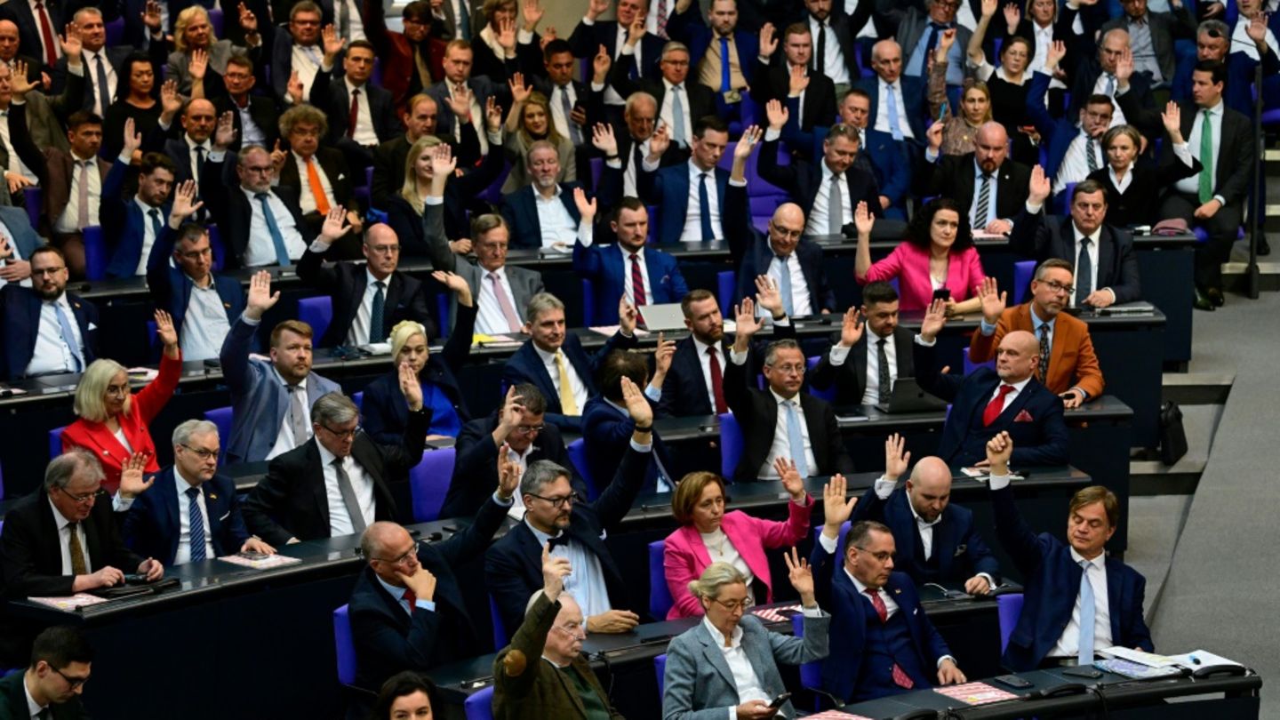AfD-Fraktion im Bundestag