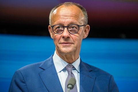 Friedrich Merz im Portrait