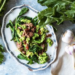 Cima di Rapa angerichtet – hier als Rezept