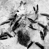 Animismus und Christentum: Macilau zeigt unterschiedliche regionale Vorstellungen von Gott, dem Kosmos und wie uralte mosambikanische Traditionen bewahrt werden