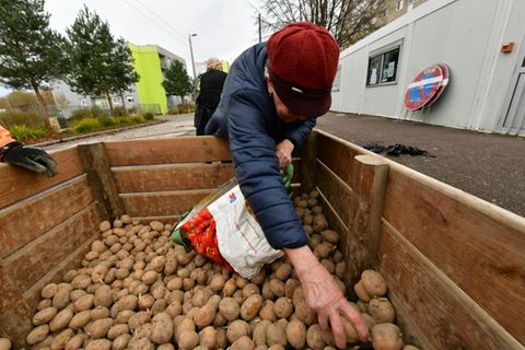 Kartoffeln