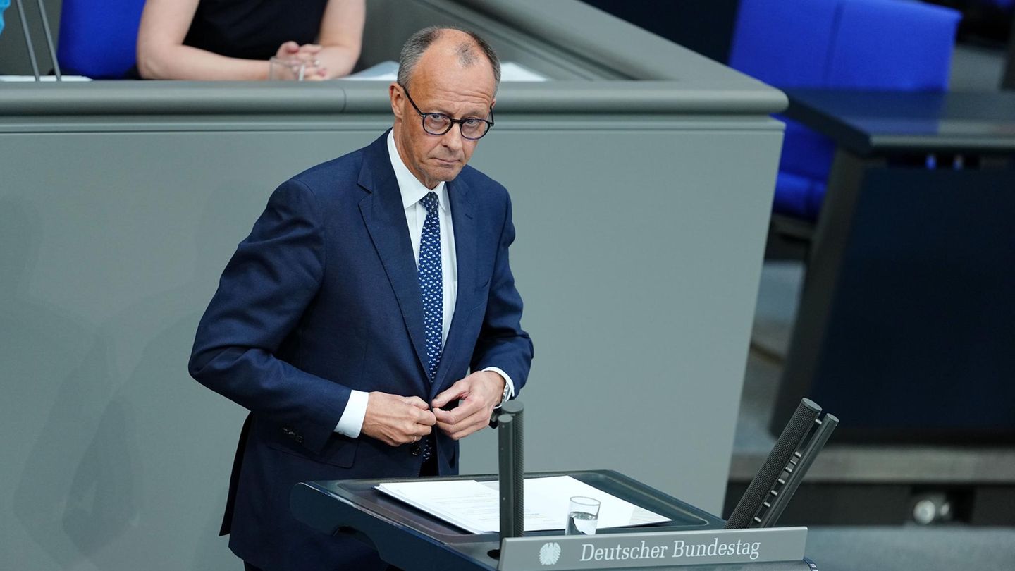 Friedrich Merz Regierungserklärung