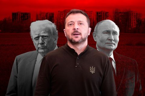 Montage mit Trump, Selenskij und Putin