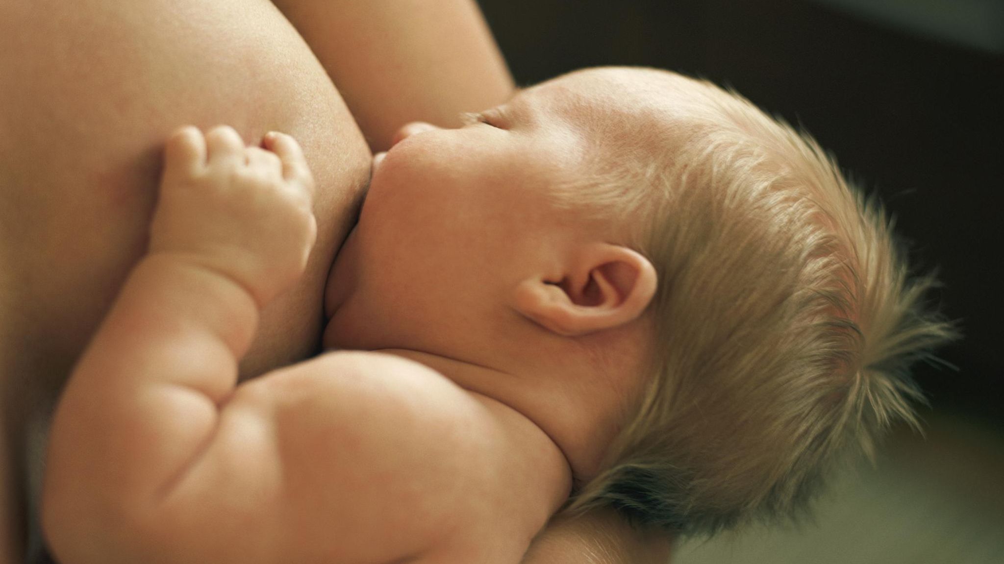 ein Baby saugt an der Brust der Mutter