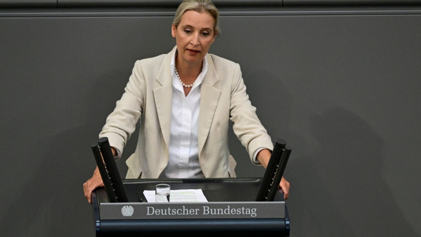 Weidel am Mittwoch im Bundestag