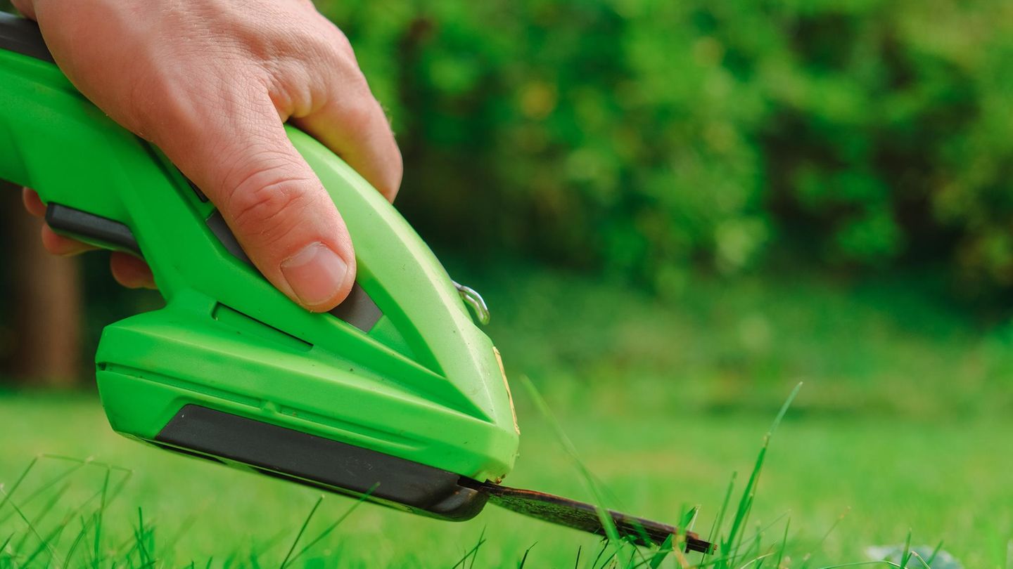 Person nutzt elektrische Gartenschere