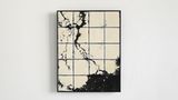 Tjitske Oosterholt, "A Continual Unfolding"