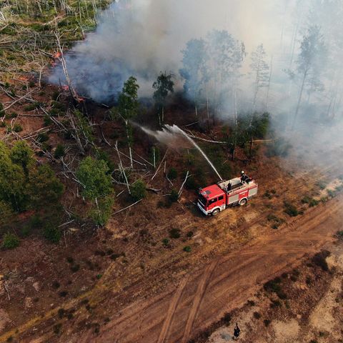Flammen schlagen in die Höhe in einem Waldstück nahe Jüterbog, südlich von Berlin. Dort brennt 2023 eine Fläche von 326 Hektar 
