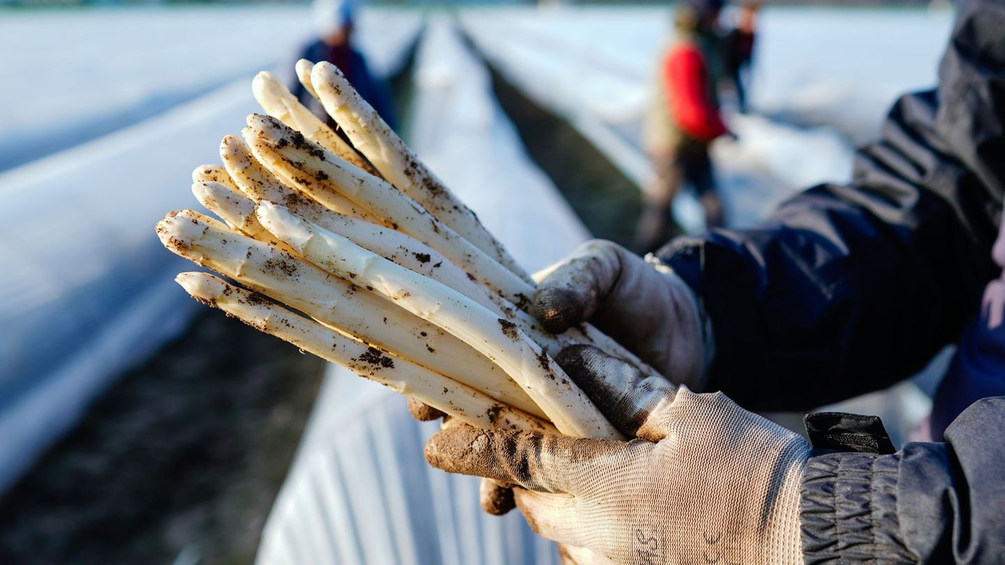 Food: Now consumers can buy asparagus cheaply