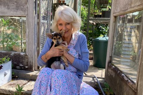 Königin Camilla mit ihrem neuen Hund Moley.