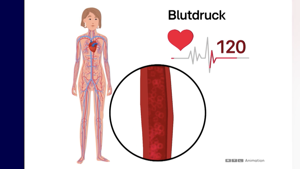Eine Grafik veranschaulicht einige Fakten zu dem Thema Blutdruck