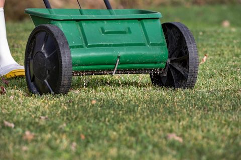 Gartendeals: Streuwagen mit Rasendünger auf einer Rasenfläche
