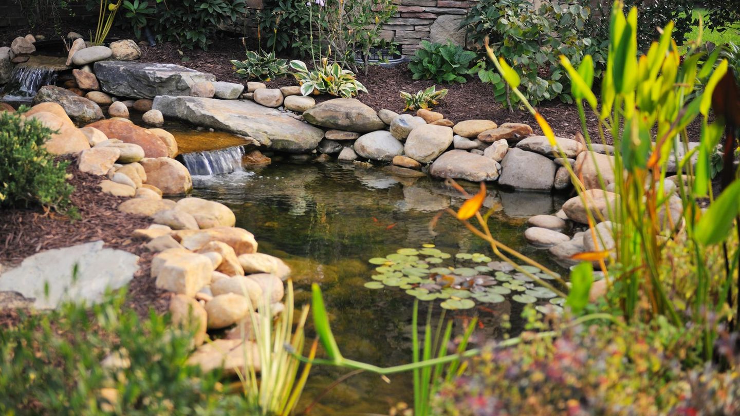 Ein Gartenteich
