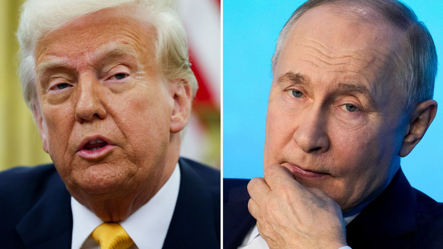 Ukraine War: Trump promises Ukraine conversation in the Vatican