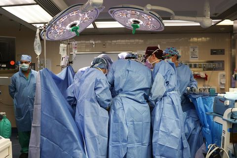 2024 transplantierten Mediziner im US-Bundesstaat Massachusetts erstmals eine Schweineniere