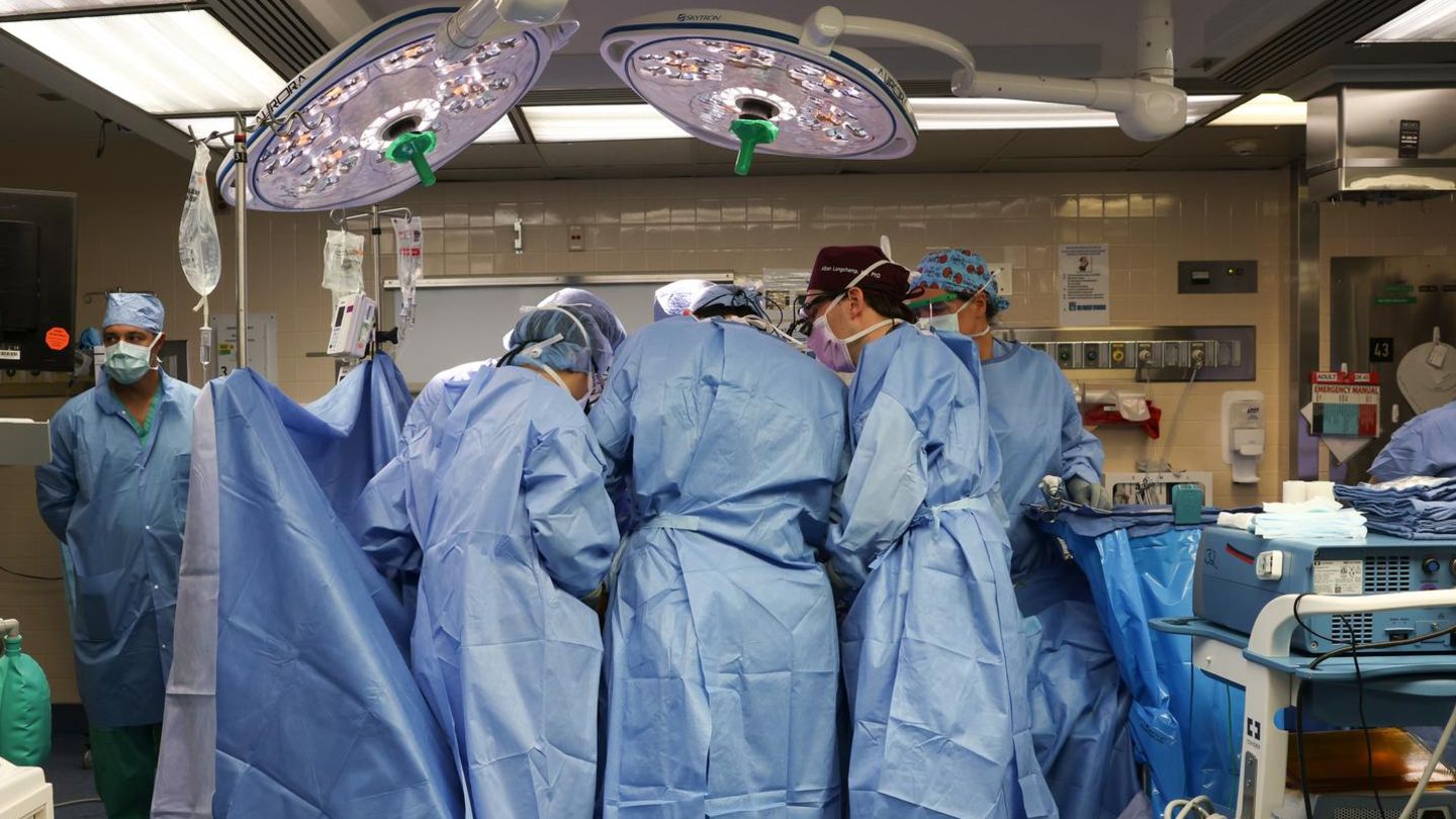 2024 transplantierten Mediziner im US-Bundesstaat Massachusetts erstmals eine Schweineniere