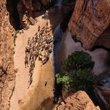 Nomaden ziehen mit ihren Tieren durch eine der Schluchten des Gebirges – von oben betrachtet