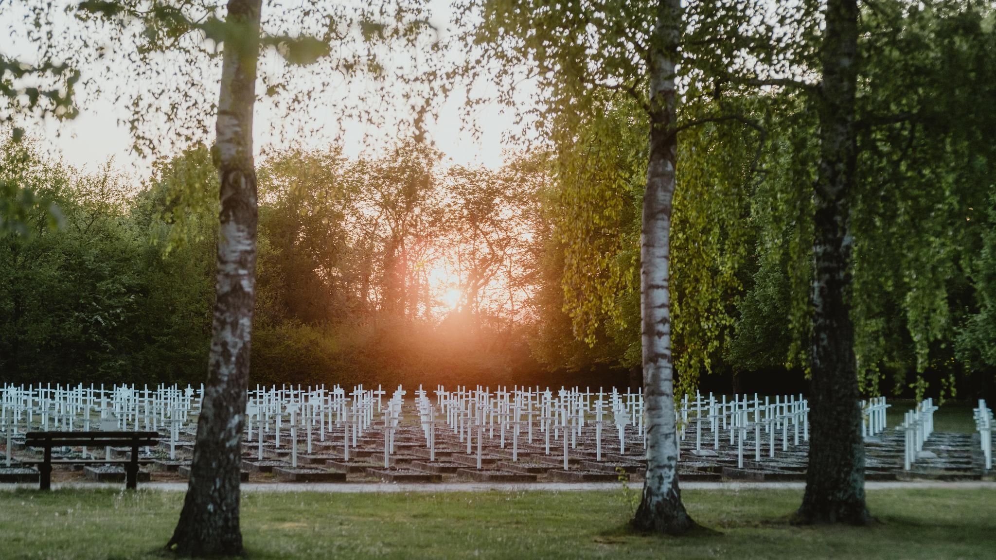 Gräber auf dem Gelände der Gedenkstätte im Sonnenuntergang / Massenmord in Gardelegen