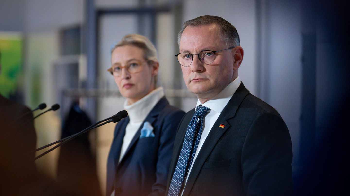 AfD starts cleaning up: Does the party tip your attitude towards Russia?