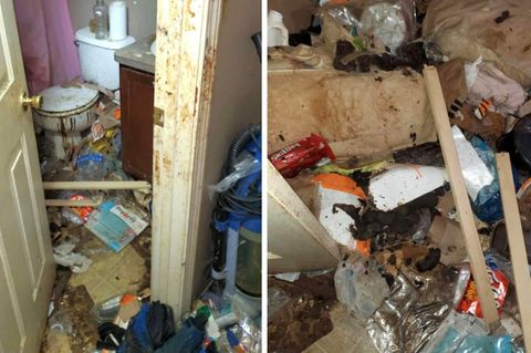 In den USA lebten drei Kinder jahrelang allein in einem völlig verdreckten und vermüllten Haus.