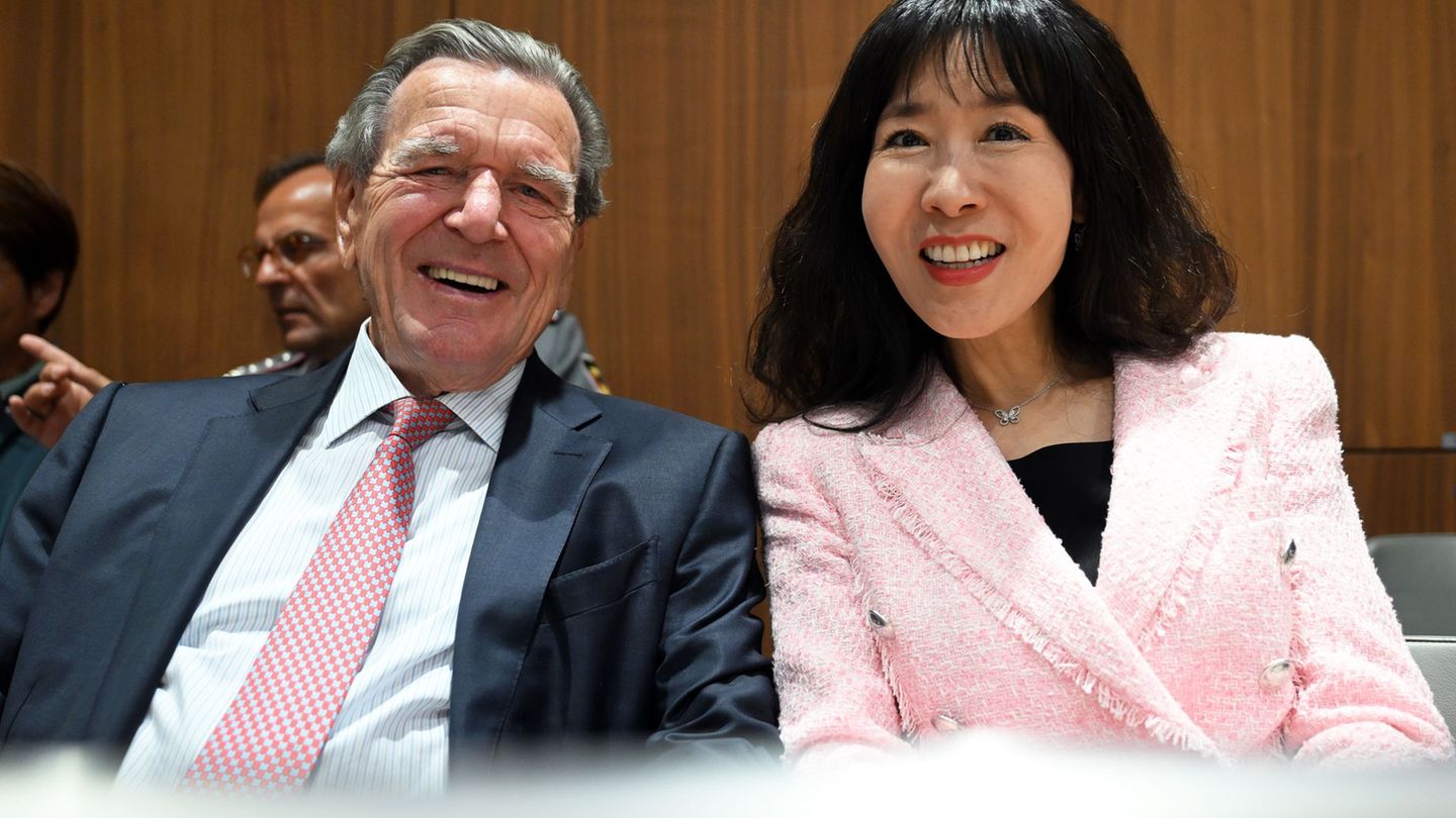 Lower Saxony State Parliament: Schröder and Wulff in Prime Minister election