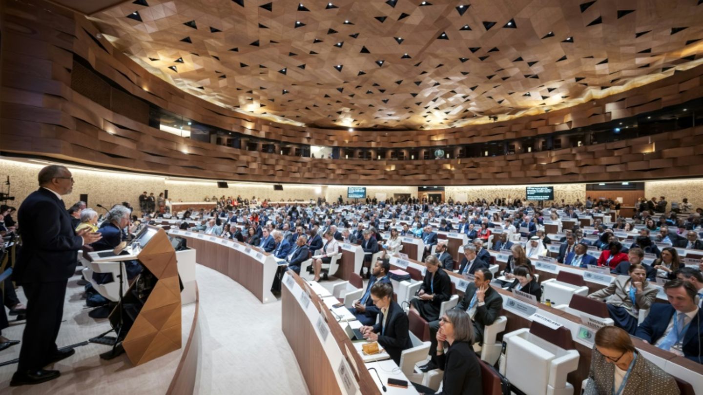 Plenum der Weltgesundheitsversammlung in Genf