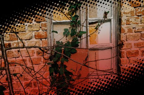 Montage zeigt ein verwildertes Fenster in einer Backsteinmauer