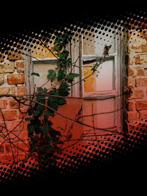 Montage zeigt ein verwildertes Fenster in einer Backsteinmauer