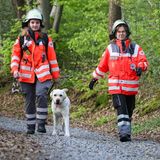 … doch wenn es um den beliebtesten Arbeitgeber im Gesundheitssektor geht, dann liegt das Deutsche Rote Kreuz vorn: 3,5 Prozent der Befragten würden gerne hier arbeiten. Rund 140.000 Menschen beschäftigt das gemeinnützige DRK hauptberuflich. Hier im Bild zwei davon bei einer großen Suchaktion im April nach einem offenbar verwirrten älterem Herrn in einem Wald nahe Wuppertal