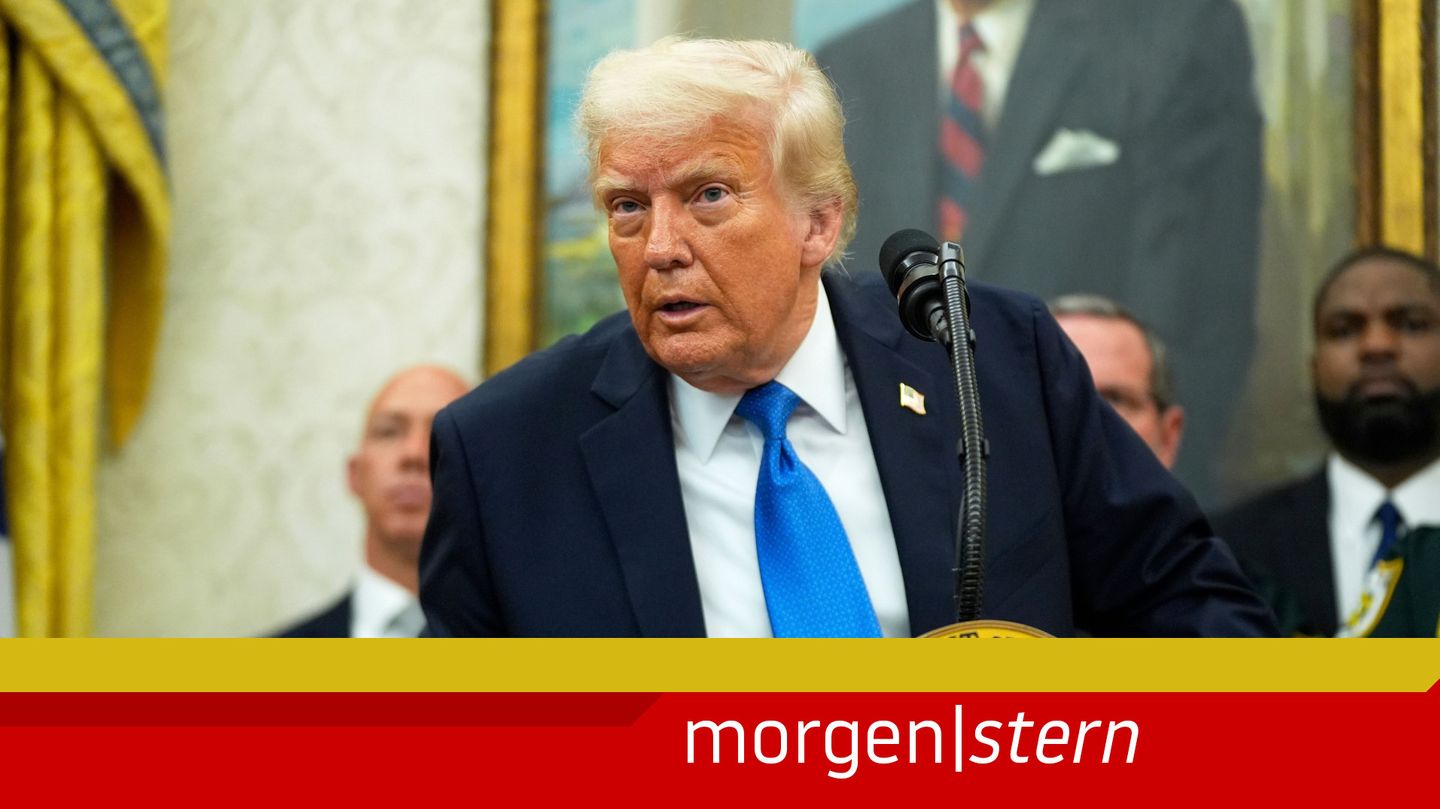 Artikel Bild