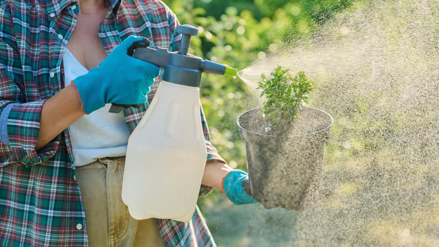 Die besten Garten Angebote der Woche Angebote vom 26.5. bis 1. Juni