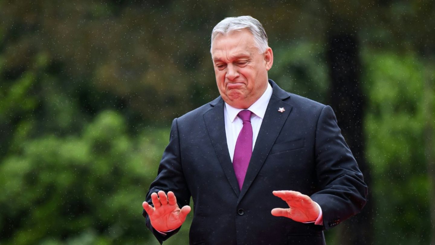 Viktor Orban am Freitag in Tirana