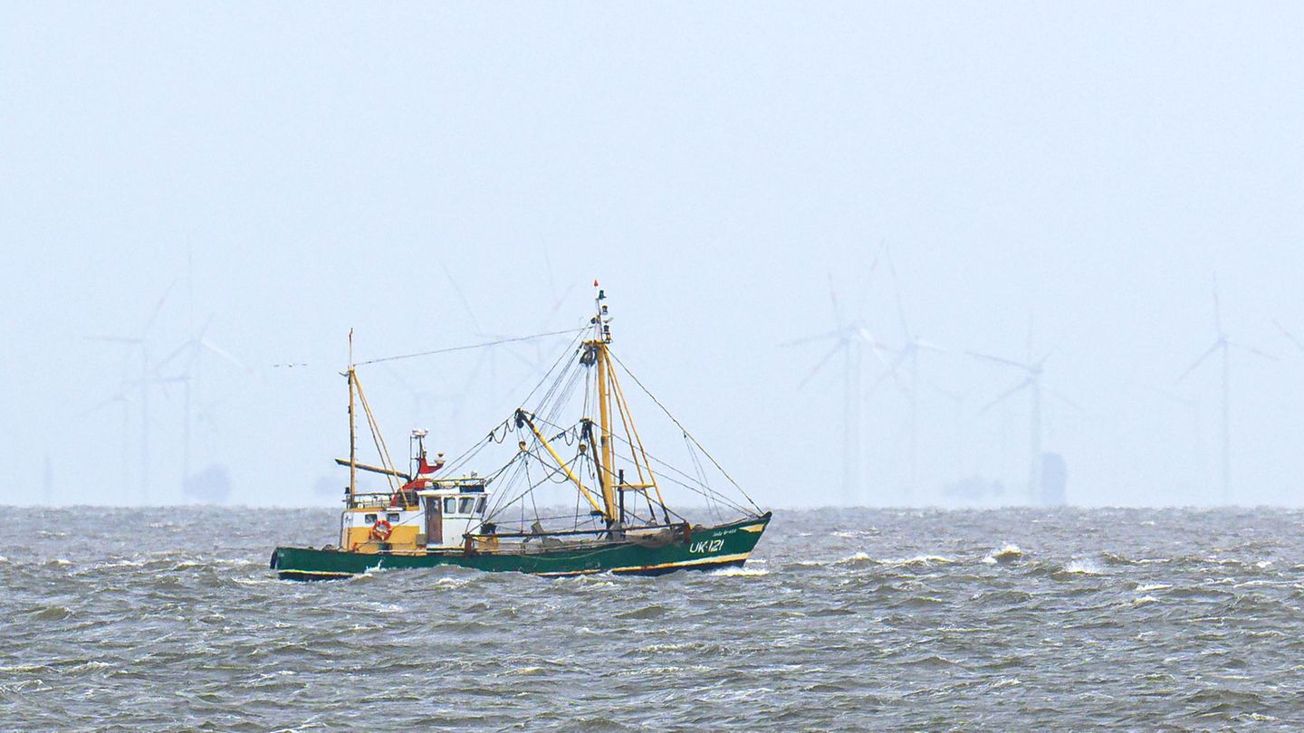 Fishery: EU court nods in the North Sea caught in the North Sea