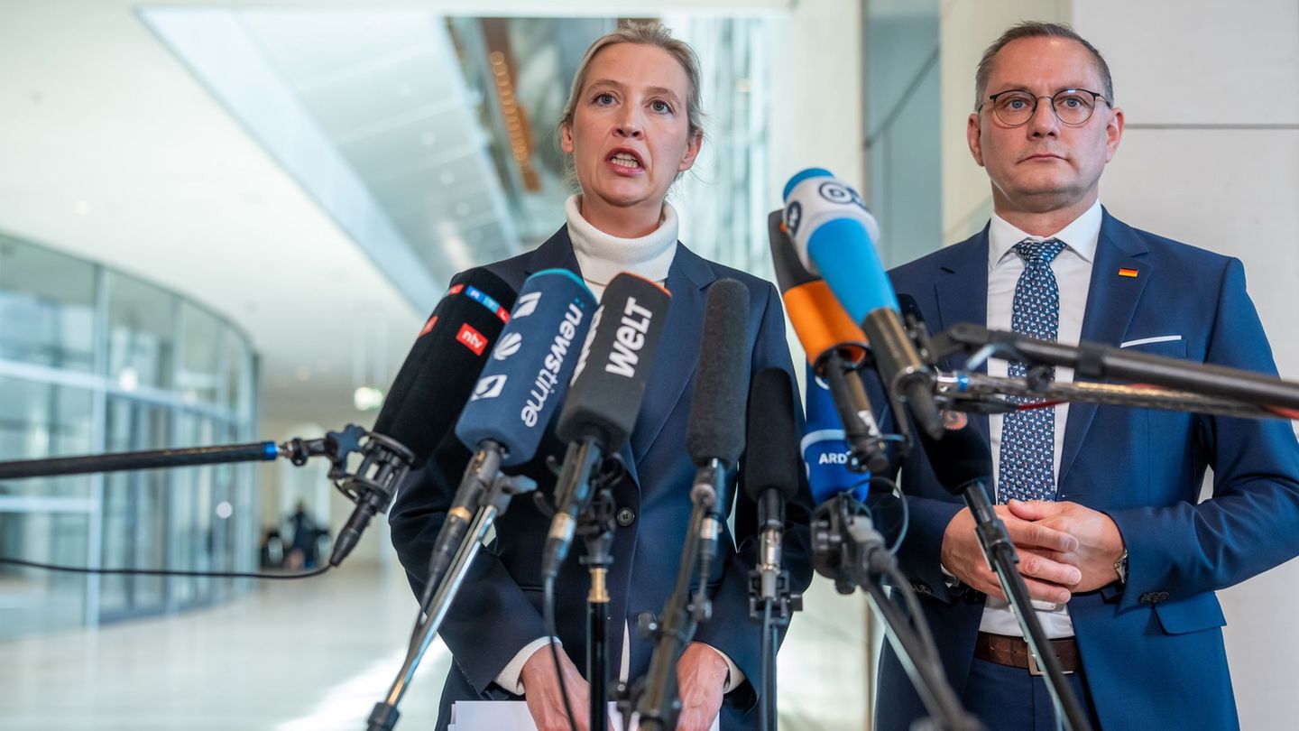 Artikel Bild