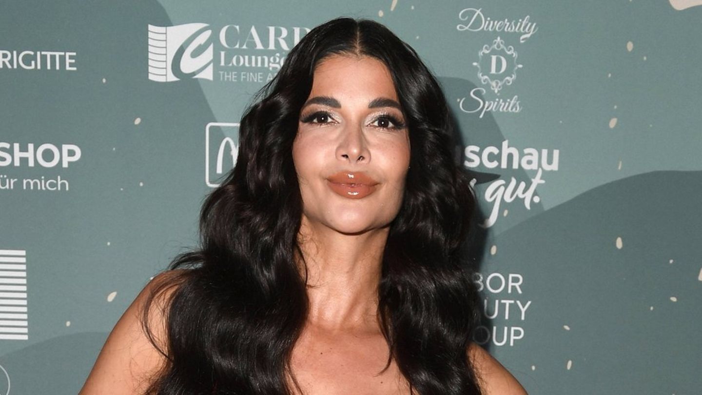 Micaela Schäfer: She earns so much as a nude model