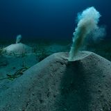 Würmer spülen Sand aus ihren Verstecken, was wie kleine Vulkane aussieht