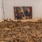 Kinder schauen gespannt in einem Raum voller Schlangen