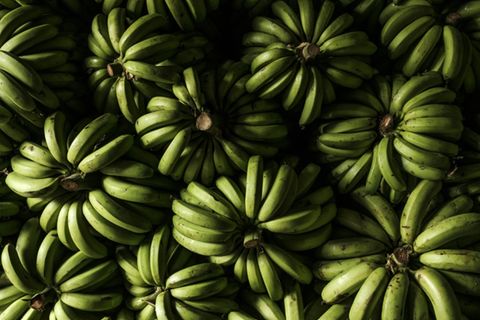 Bananen in einem Lagerhaus