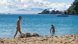 Little Palm Beach, Waiheke Island, Neuseeland