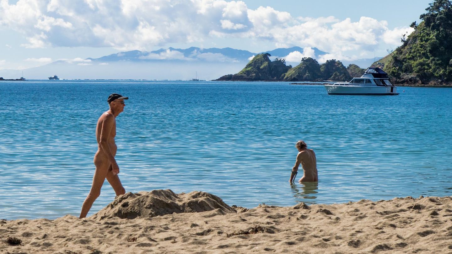 Little Palm Beach, Waiheke Island, Neuseeland