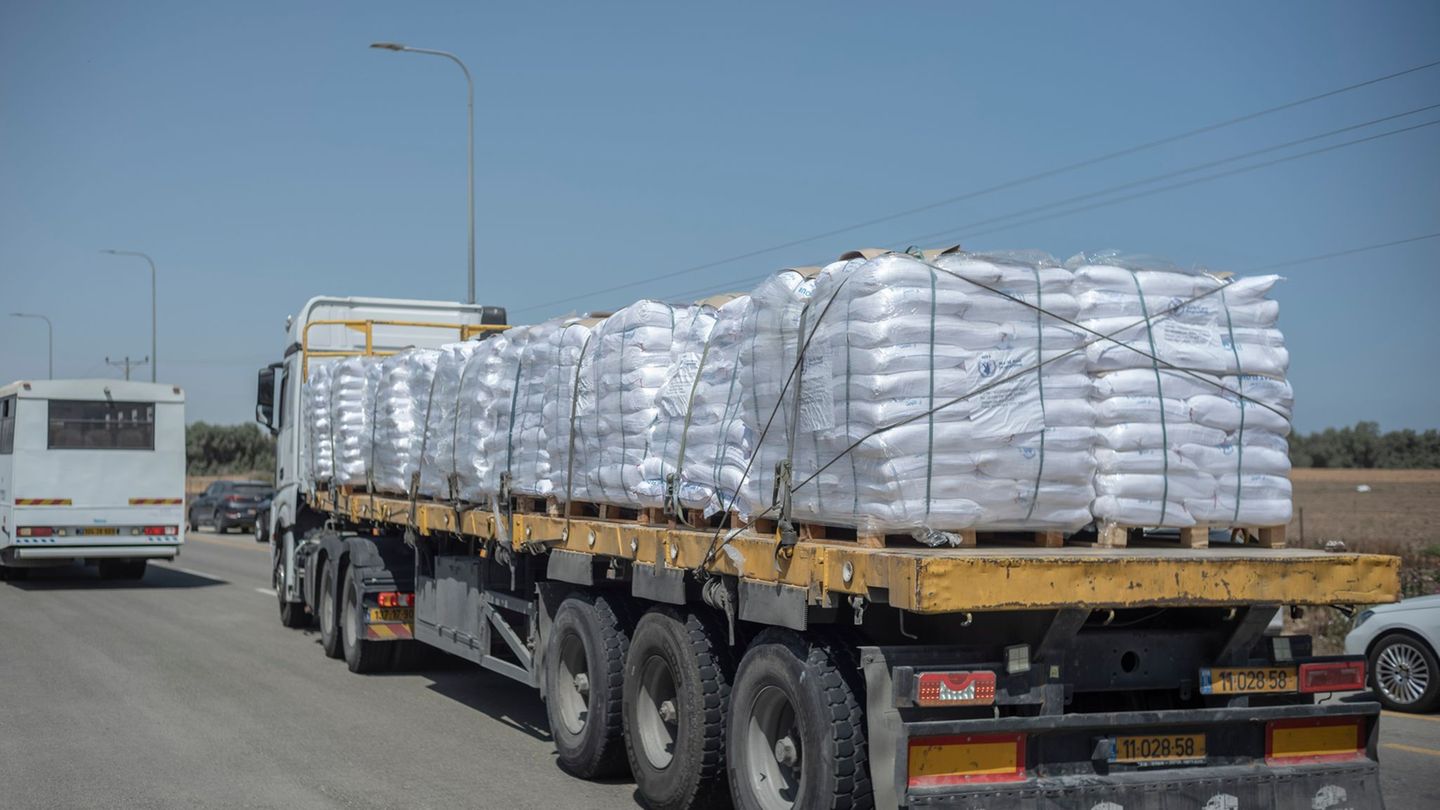Gaza War: Israel: Further auxiliary transports reach Gaza